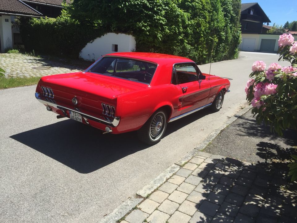 Ford Mustang in Teisendorf