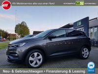 Opel Grandland Business Edition X 1.5 D AUTOMATIK-AHK Bayern - Altmannstein Vorschau