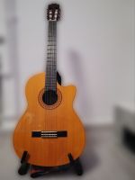 Takamine EG124c Akustik-Gitarre Hessen - Langgöns Vorschau