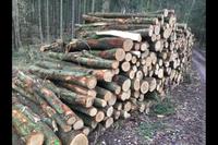 Stammholz Polterholz Brennholz Kaminholz Hartholz Buche Bayern - Bad Windsheim Vorschau
