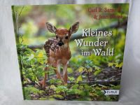 NEU Kleines Wunder im Wald, Sams & Stoick Reh Kitz Bayern - Augsburg Vorschau