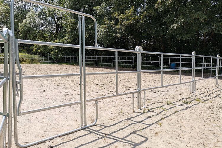 Weidepanel mit Tor Mobilzaun Panel Pferdebox mit 3 Querrohren NEU in Görlitz