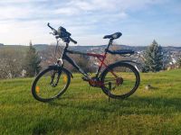 Gepflegtes Avalanche 2.0 GT Mountainbike Kult Bike 26 Zoll Sachsen - Schneeberg Vorschau