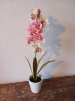 Orchidee im Topf Blumen Pflanzen Kunstblumen Garten Sachsen - Neukirchen/Erzgeb Vorschau