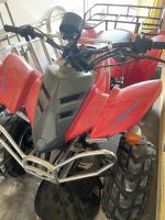 Quad Loncin ATV 110ccm Kinder / Erwachsene mit Brief Brandenburg - Blankenfelde-Mahlow Vorschau