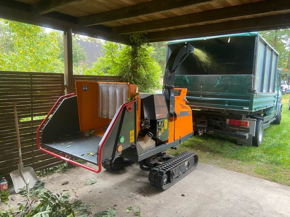 Baumfällung,Erdarbeiten, Wurzelfräsung,Rollrasen,Strauchschnitt, in Königslutter am Elm