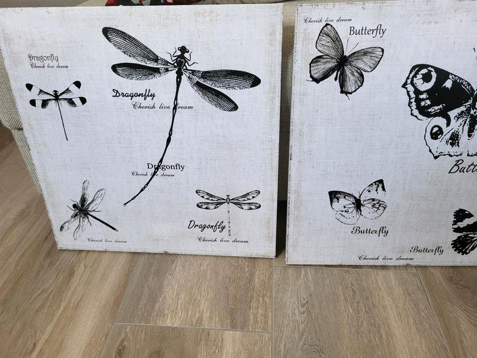 2 Bilder auf Leinwand Druck Schmetterlinge 50x50cm in Thaleischweiler-Fröschen