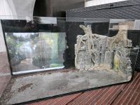 Terrarium Reptilien Sachsen-Anhalt - Merseburg Vorschau