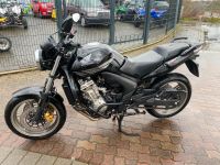 Schöne Gepflegte Honda CBF 600 N EZ 2009 MIt ABS Tüv 10.2024 Nordrhein-Westfalen - Herne Vorschau