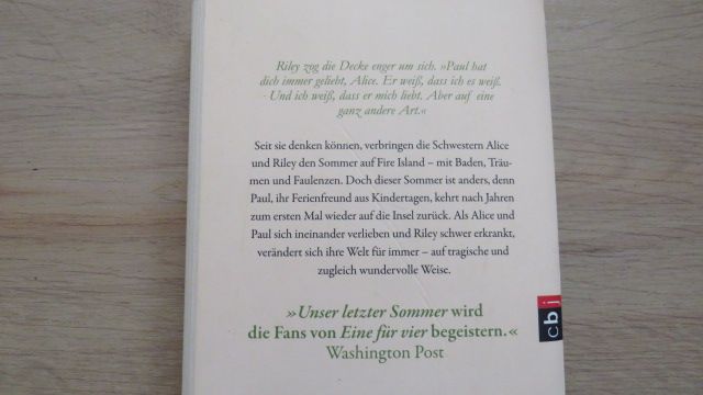 Unser letzter Sommer von Ann Brashares Buch in Saldenburg