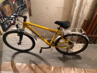 Fahrrad 26“ Steppenwolf T2 Berlin - Friedrichsfelde Vorschau