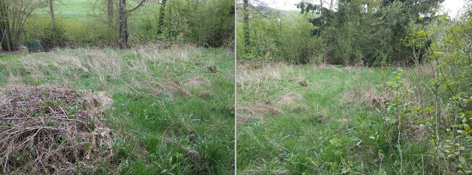 Biete: Wiesengrundstück zum Gemüseanbau in Teilort von SHA in Schwäbisch Hall