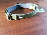 Neues Hundehalsband von Nobby für mittelgroße bis große Hunde Nordrhein-Westfalen - Beelen Vorschau