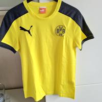 NEU Puma T-Shirt Borussia  Dortmund BVB 09  Gr. XS (34) Nordrhein-Westfalen - Balve Vorschau