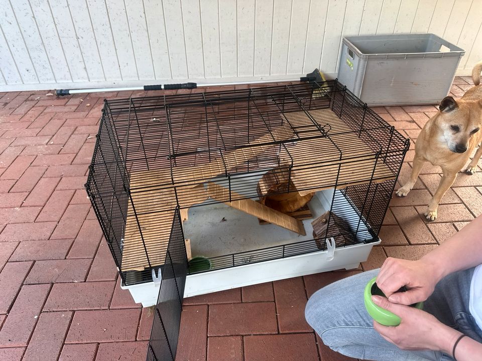 Hamster Käfig nur heute in Metelen