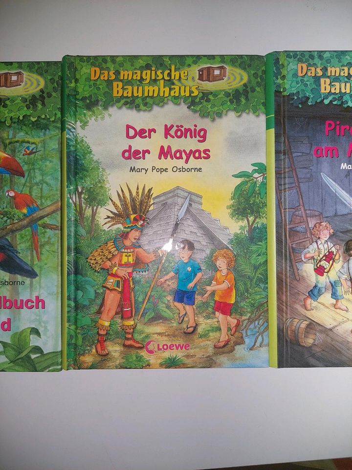 Das magische Baumhaus, Hardcover, 4 Bücher in Braunschweig