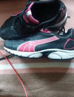 Damenturnschuhe Puma Gr.40 Essen - Essen-Borbeck Vorschau