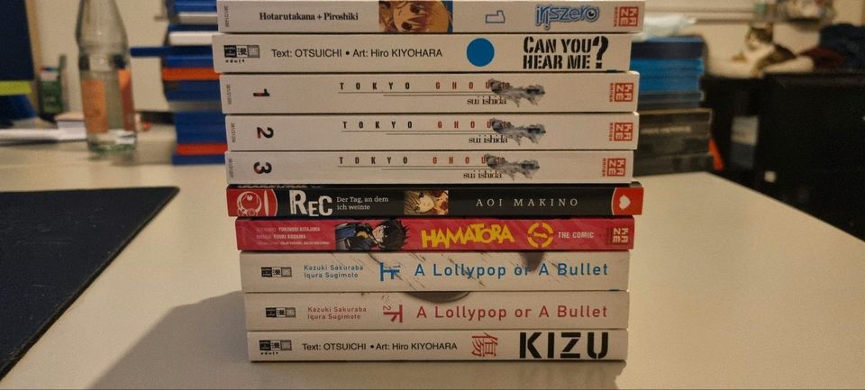 Manga Paket aus Sammlung 10 Stück in Jelmstorf