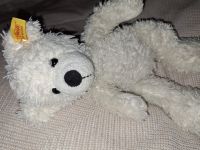 Steiff Teddy ca. 30cm Teddybär Bär weiss Kuscheltier top Zustand Niedersachsen - Northeim Vorschau