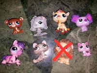 Lps Littlest pet shop Raritäten mit Fell, Pferd läuft Thüringen - Zeulenroda Vorschau