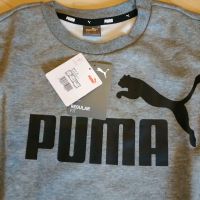 ❣️ Neu & original verpackt ❣️ Puma Pulli Pullover Oberteil Hessen - Pohlheim Vorschau