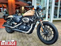 Harley Davidson XL883N Sportster Iron beige matt 14tkm Garantie Nordrhein-Westfalen - Borchen Vorschau