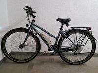 Idworx Easy Transport Damenrad ebike bionx Shimano XT Kr. München - Ismaning Vorschau