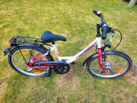 Fahrrad 18 Zoll Pegasus Mädchen Niedersachsen - Nordhorn Vorschau