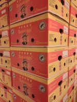 40 Umzugkartons Bananenkartons Flohmarkt Lagerung Versand Umzug Niedersachsen - Göttingen Vorschau