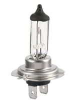 NEU 2x H7 Lampe Birne Halogenscheinwerfer Saarland - Riegelsberg Vorschau