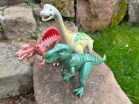 Playmobil Dinos - Brachiosaurus 4172 Spinosaurus 4174 T-Rex 4171 Bayern - Grub a. Forst Vorschau