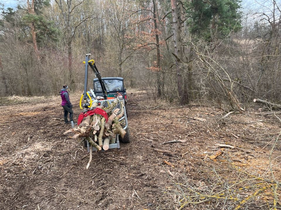 Holzrückewagen Jansen HRW, verzinkt, Holzanhänger mit Ladek in Vollersroda