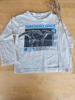div Longsleeve Pullover Dino Monster Trucks Gr. 116 122 Rheinland-Pfalz - Westerburg Vorschau