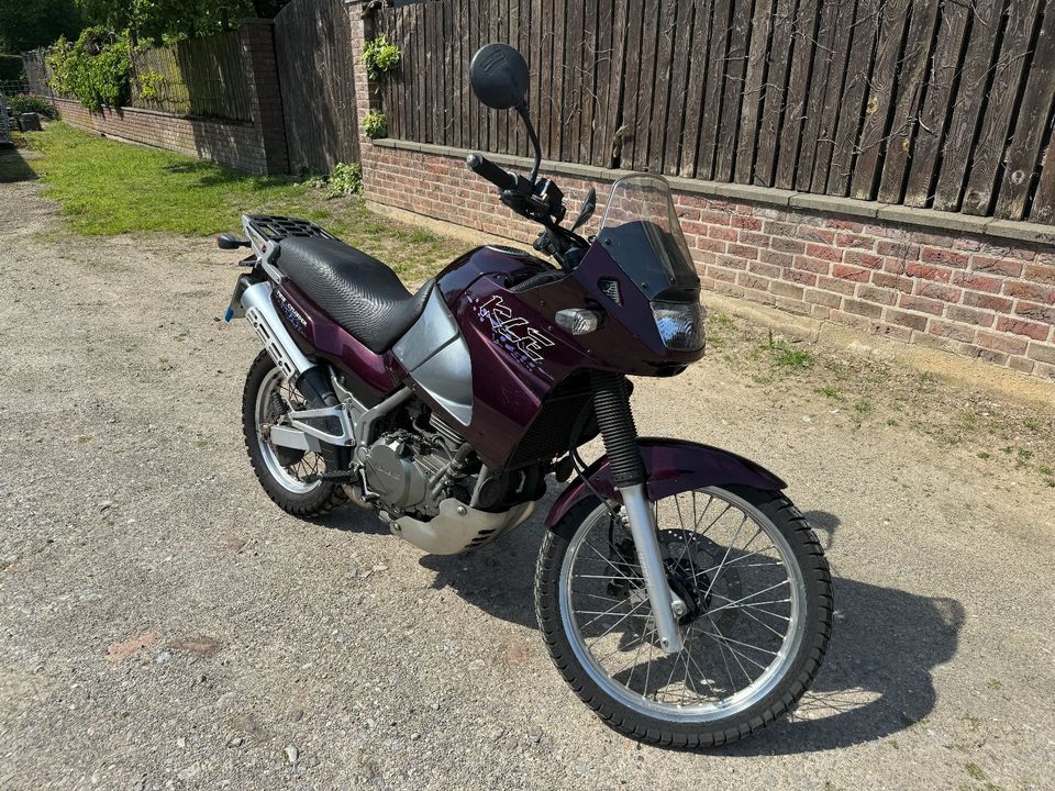 Kawasaki KLE 500, Modell 2001 in Willich