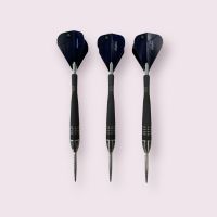 TARGET PHIL TAYLOR G10 STEELDARTS Bayern - Kissing Vorschau