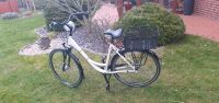 Fahrrad Bergamont Belami 28 Zoll *Top Zustand * Niedersachsen - Wittorf Vorschau