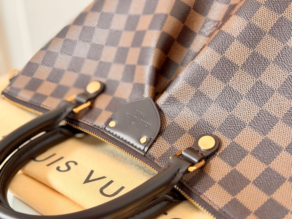 LOUIS VUITTON Siena MM Damier Ebene Canvas N41546 NEUw. in Gießen