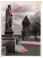 Konstanz Rheinsteig Orig.-Foto s/w vom Ende der 1940-er Jahre Baden-Württemberg - Konstanz Vorschau