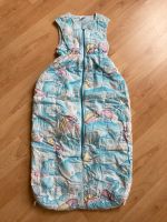 Schlafsack 110cm zu verschenken babyschlafsack Brandenburg - Lauchhammer Vorschau