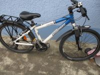 Kinderfahrrad 24 Zoll von Steppenwolf MTB Versand auch möglich Bayern - Buxheim Vorschau