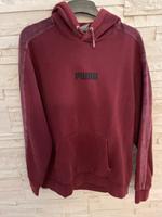 Pulli(Puma) Bayern - Rosenheim Vorschau