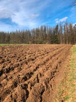 Kartoffeln Legen im Lohn/ Ackerbau Nordrhein-Westfalen - Wermelskirchen Vorschau