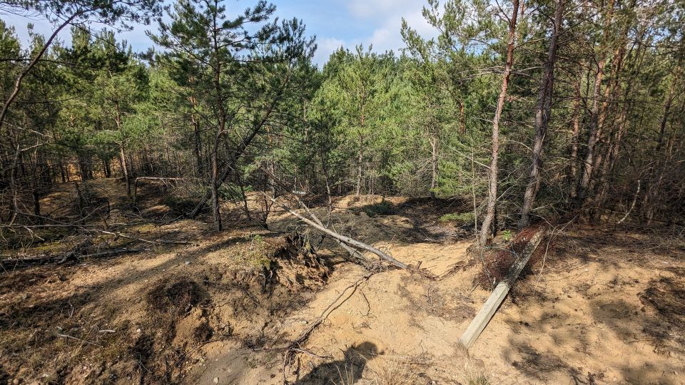 Baugrundstück für Naturliebhaber in Wehrhain