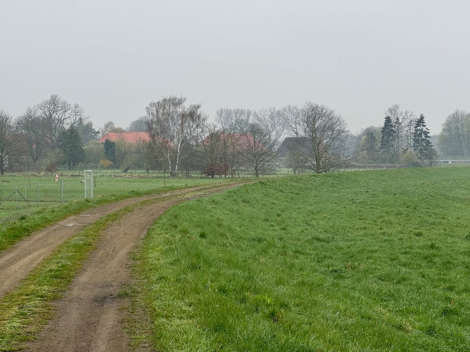 Bauernhaus zu verkaufen in Sückau