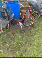 Fahrräder mehrere wieder in Stand gesetzt Lübeck - Travemünde Vorschau