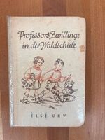 Professors Zwillinge in der Waldschule von else Ury Baden-Württemberg - Rickenbach Vorschau