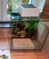 Aquarium, Nano-Aquarium, Fluval Edge 46l Sachsen - Schwarzenberg (Erzgebirge) Vorschau