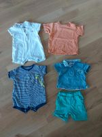 Sommer Set T shirt, kurze Hose, Body Rheinland-Pfalz - Mainz Vorschau