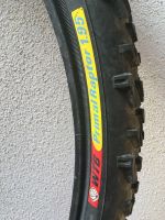 Retro WTB Primal Raptor MTB Reifen 26 x 1.95 Niedersachsen - Bodenwerder Vorschau