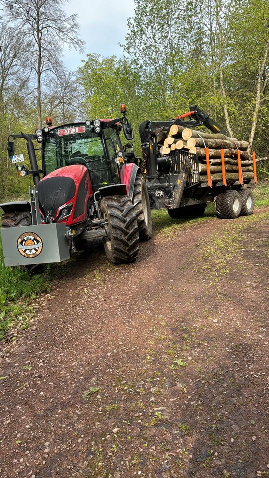 Stammholztransport Transport von Brennholz kaminholz Buche Eiche in Mettlach